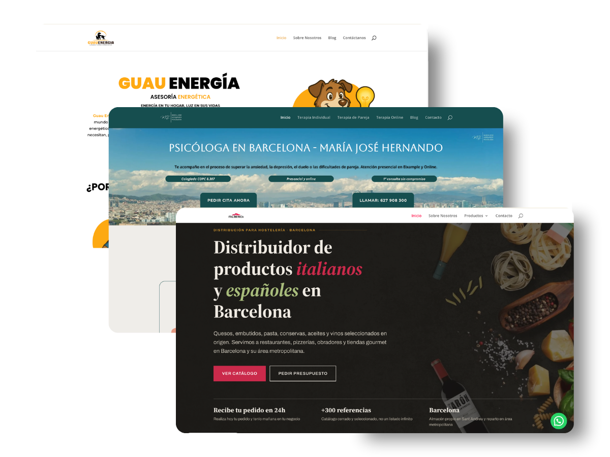 Diseño web a medida para cliente de Lemon Lead en Barcelona
